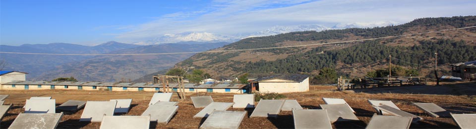 Image banner