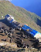 gal_image1 Image1
