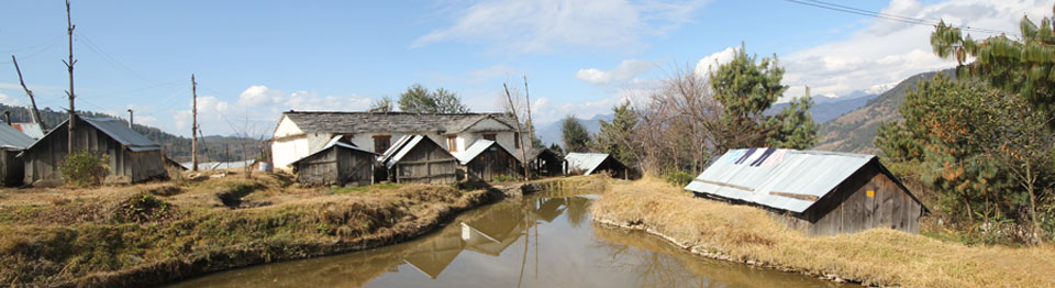Image banner